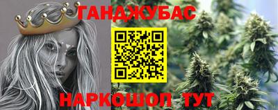 jwh Будённовск