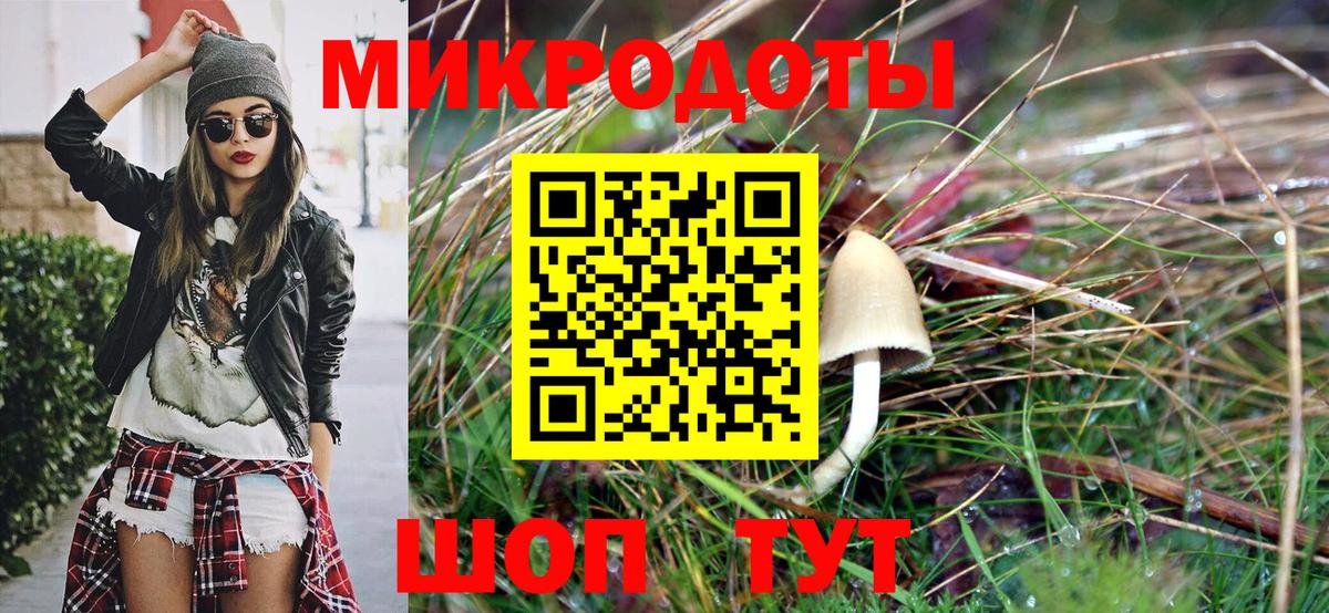 Галлюциногенные грибы MAGIC MUSHROOMS  Вход с VPN  Новокузнецк 