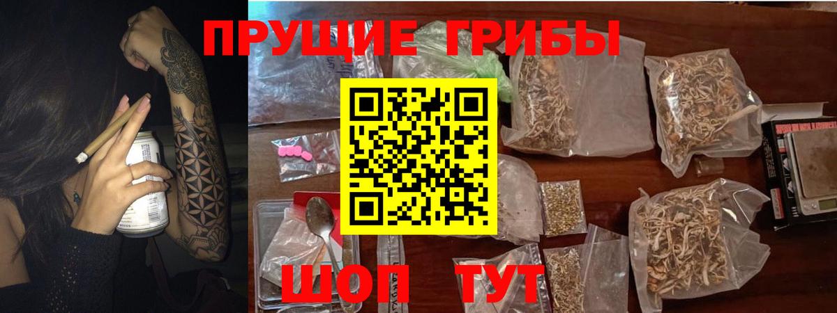 Галлюциногенные грибы мицелий Новокузнецк