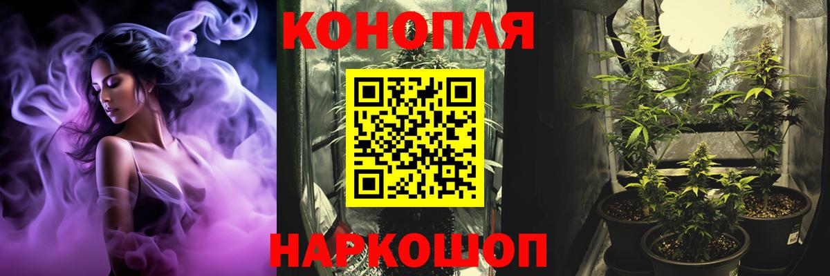 МАРИХУАНА семена Новокузнецк